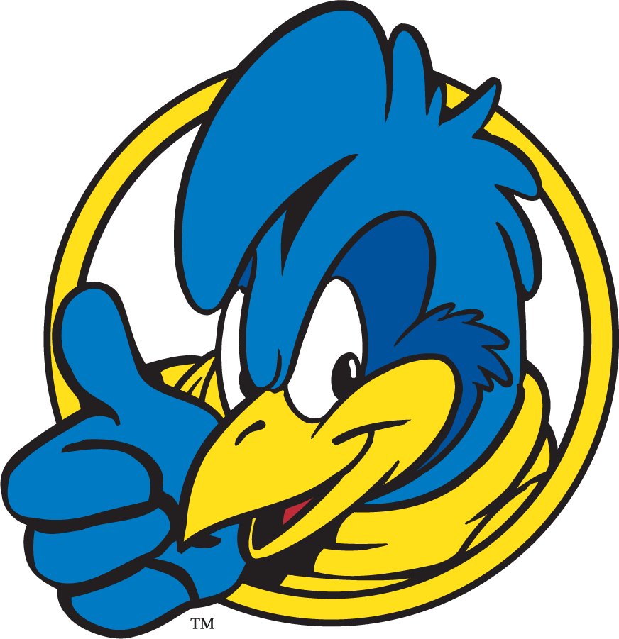 Delaware Blue Hens 1999-2009 Mascot Logo v10 iron on transfers for clothing